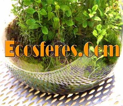 ECOSFERES